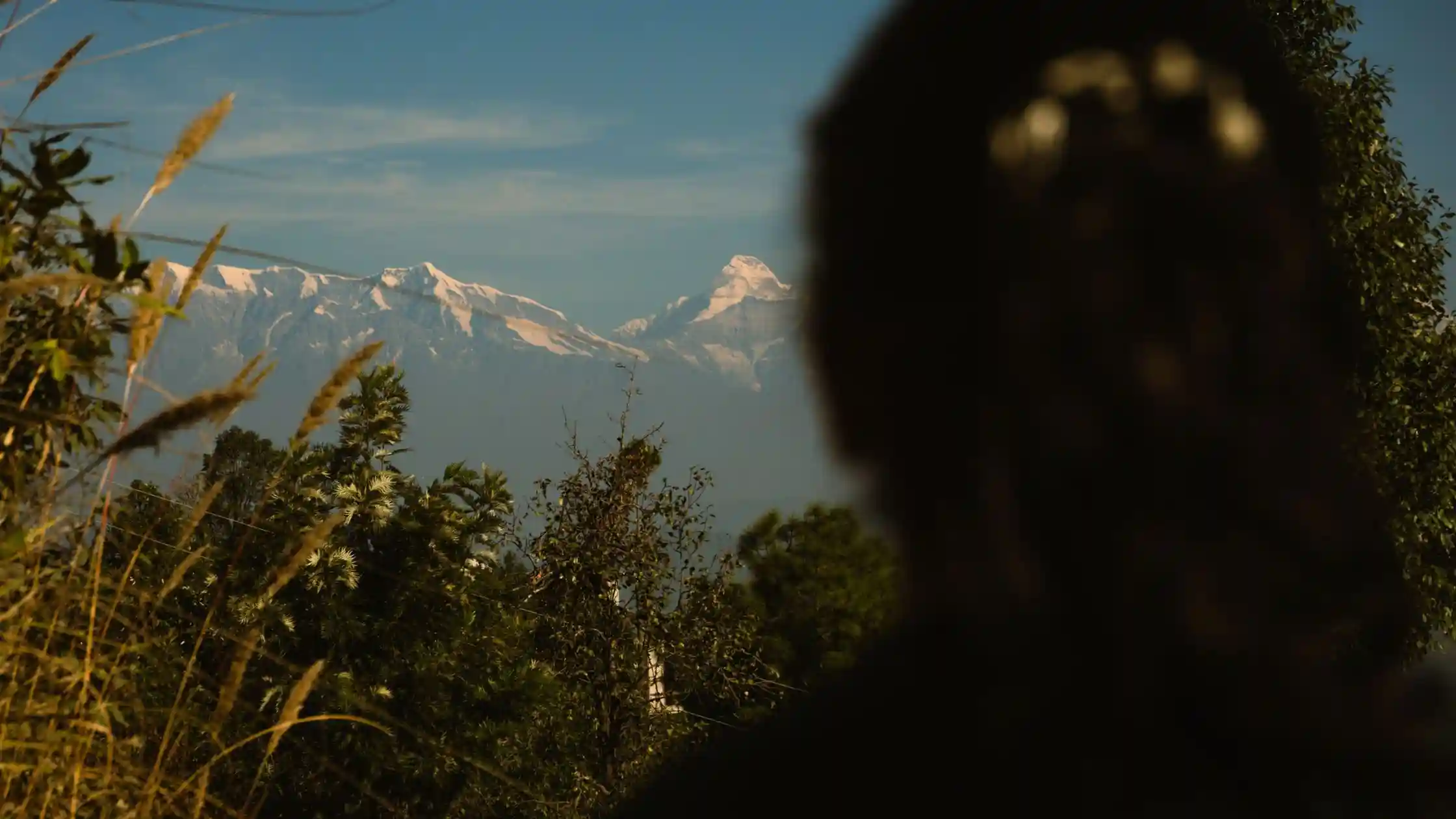 Homestay Near Mukteshwar, Uttarakhand: The Local Host Guide (2026)